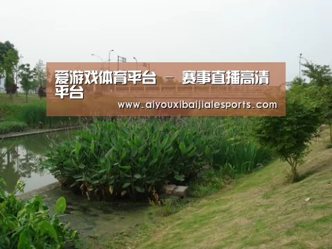案例展示四(图1)