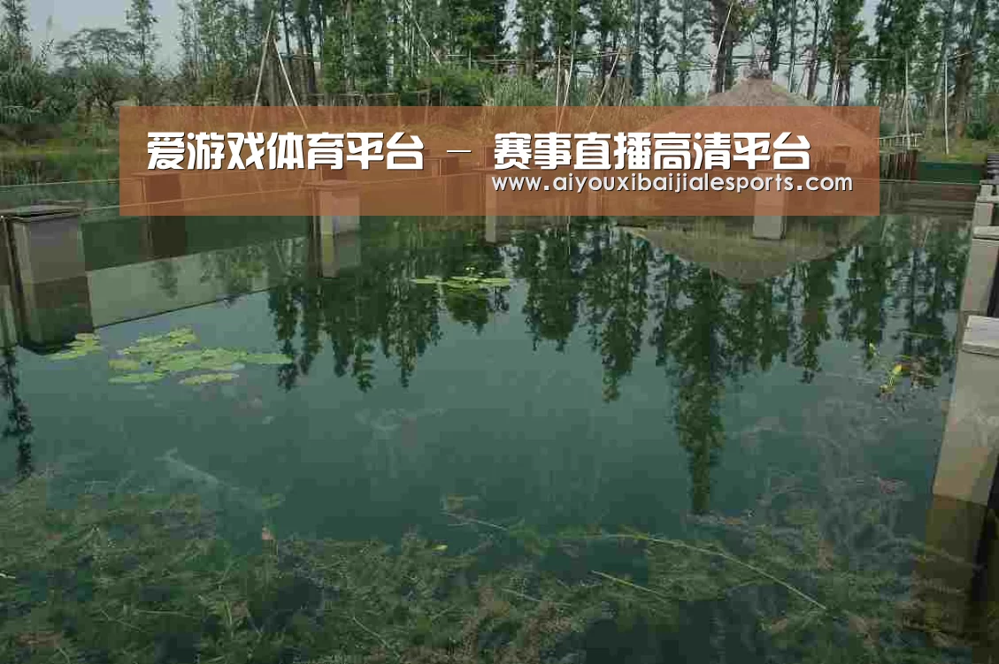 案例展示二(图1)