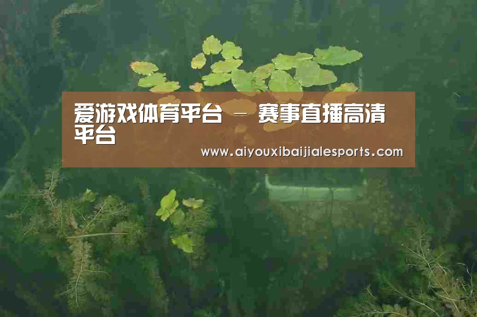 案例展示三(图1)