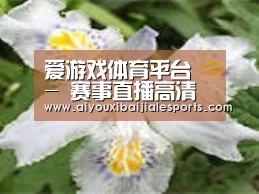 产品名称二