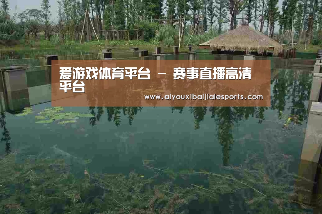 案例展示二