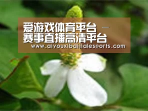 产品名称三