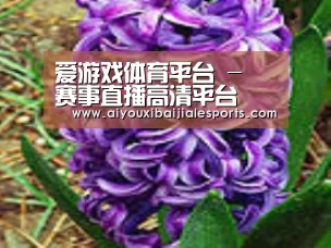 产品名称八