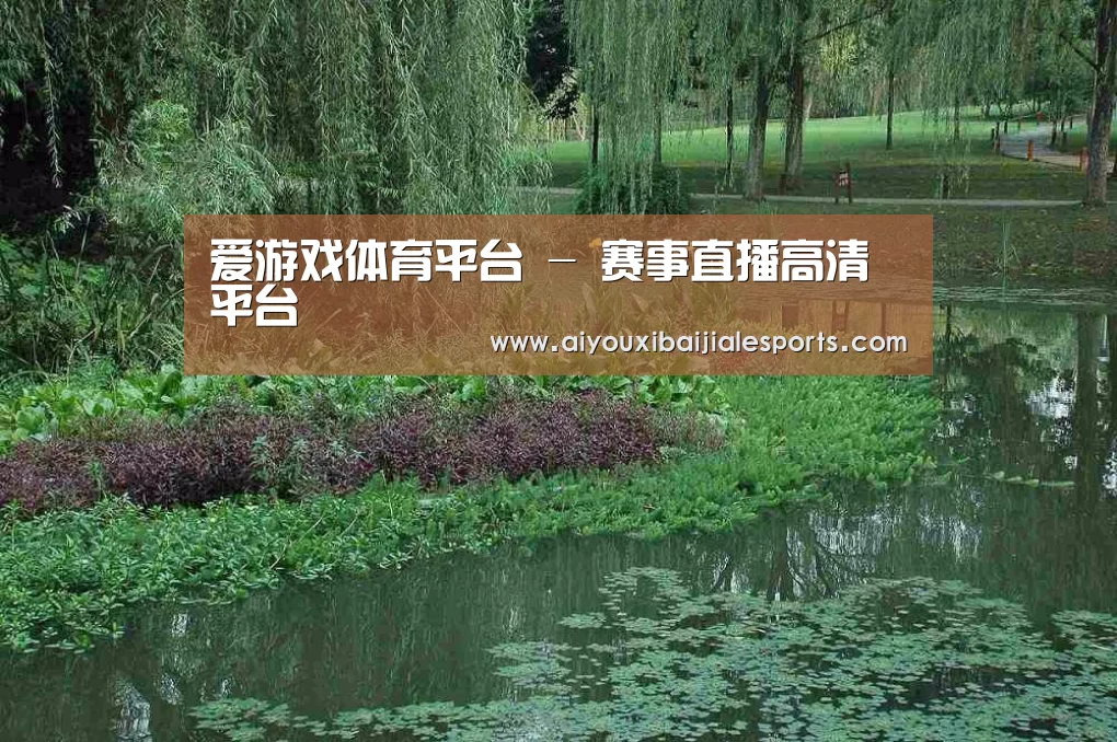 案例展示一