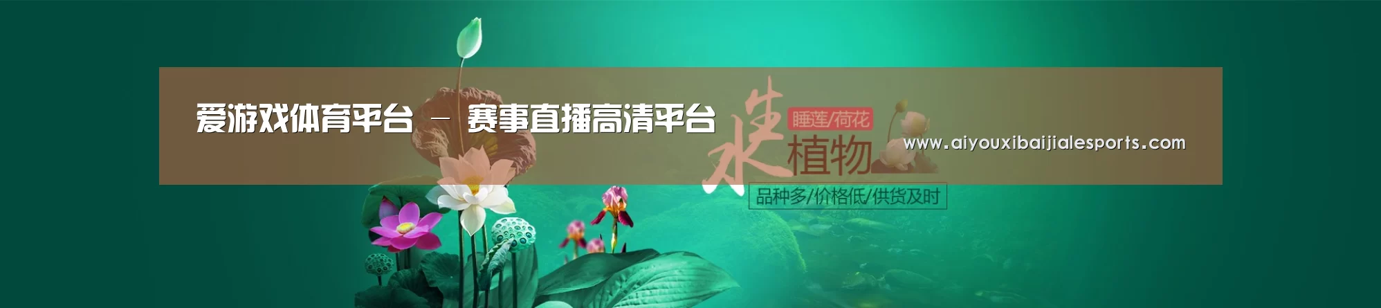 鲜花水草花卉网站模板