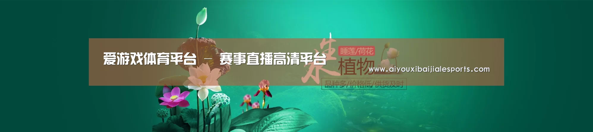 鲜花水草花卉网站模板