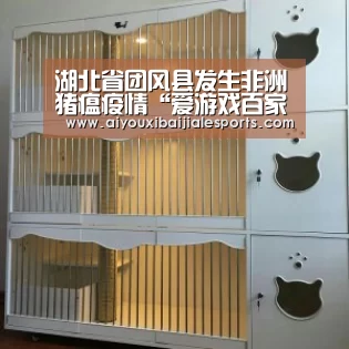 爱游戏视讯