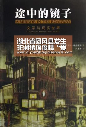 爱游戏视讯