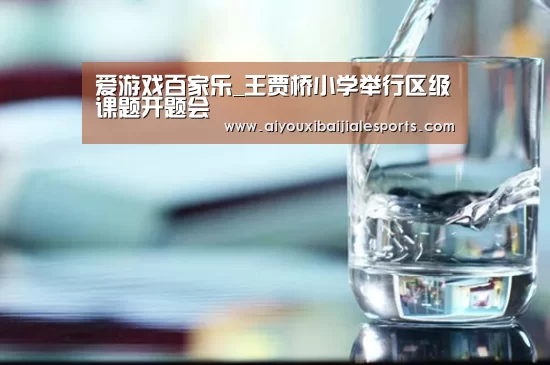 爱游戏百家乐_王贾桥小学举行区级课题开题会