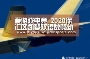 爱游戏电竞