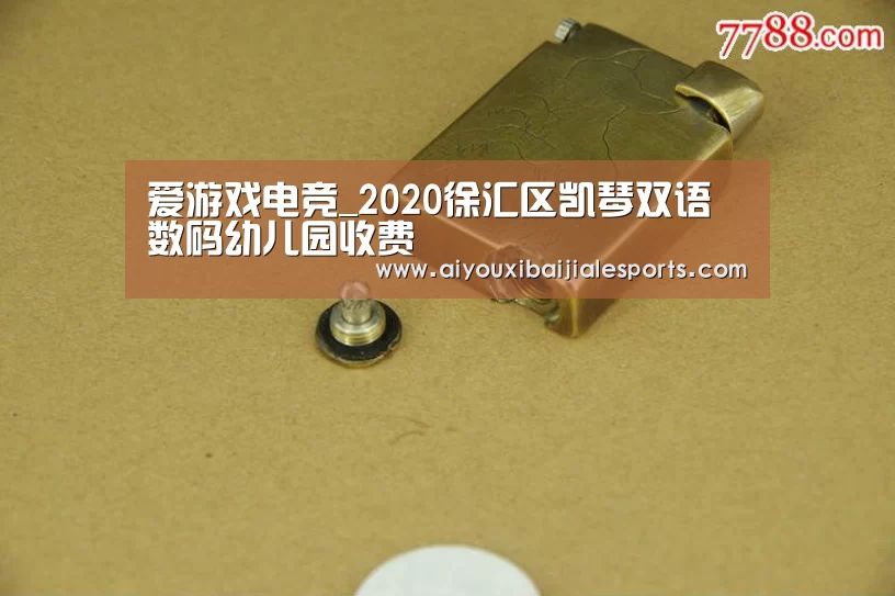 爱游戏视讯