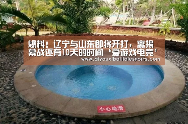 爱游戏视讯