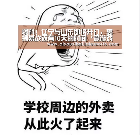 爱游戏电竞