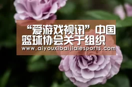 “爱游戏视讯”中国篮球协会关于组织2019年国奥女篮集训的函(图2) 爱游戏登录