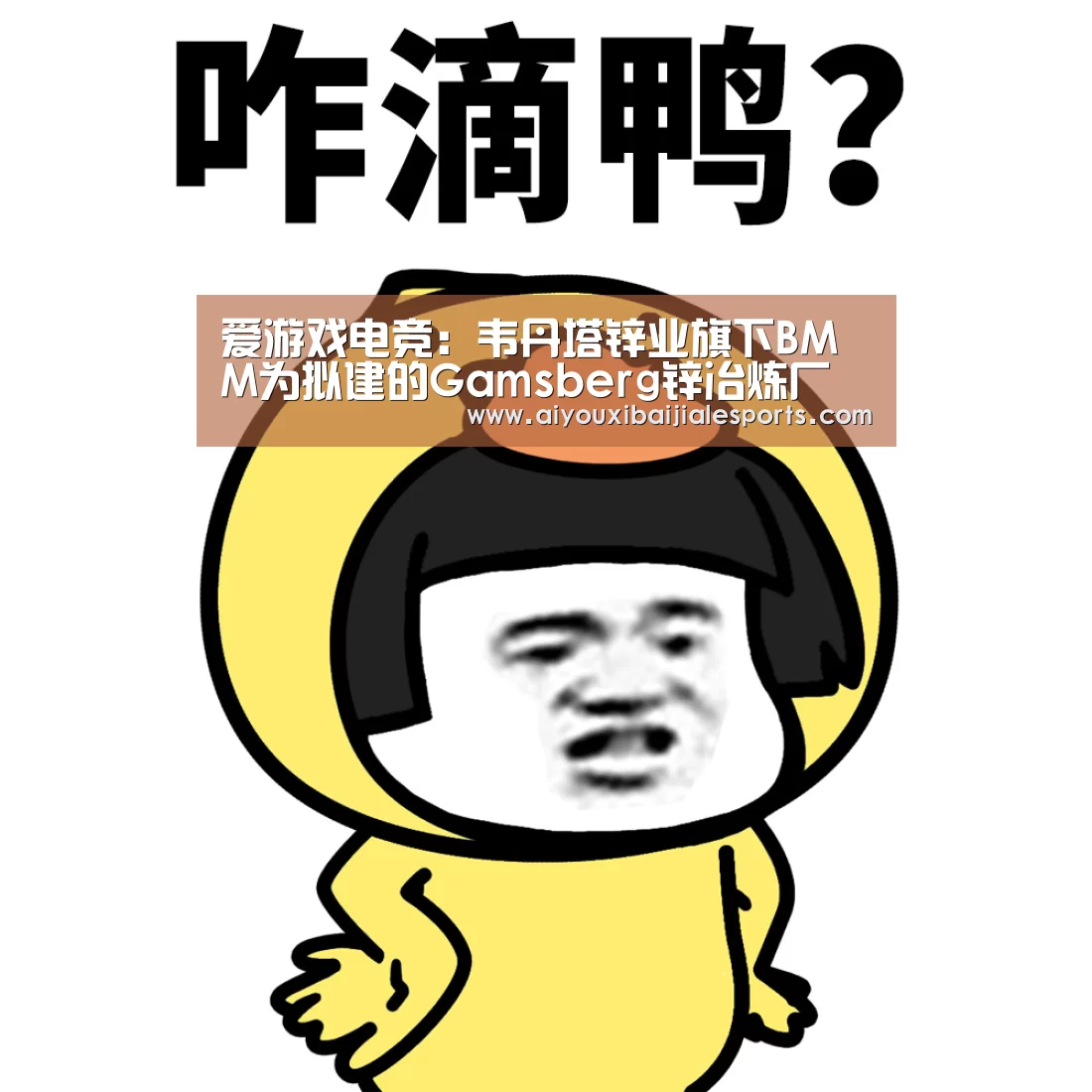 爱游戏电竞:韦丹塔锌业旗下BMM为拟建的Gamsberg锌冶炼厂展开环评(图3) 爱游戏电竞