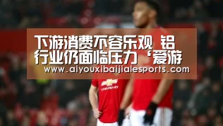 下游消费不容乐观 铝行业仍面临压力‘爱游戏视讯’(图2) 爱游戏登录