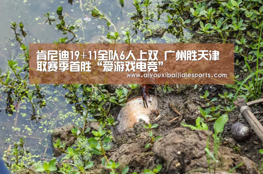 肯尼迪19+11全队6人上双 广州胜天津取赛季首胜“爱游戏电竞”(图1) 爱游戏视讯