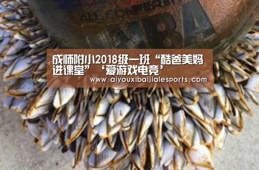 成师附小2018级一班“酷爸美妈进课堂”‘爱游戏电竞’(图1) 爱游戏电竞
